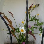 phoca_thumb_m_za abikou 38 Fotogalerie